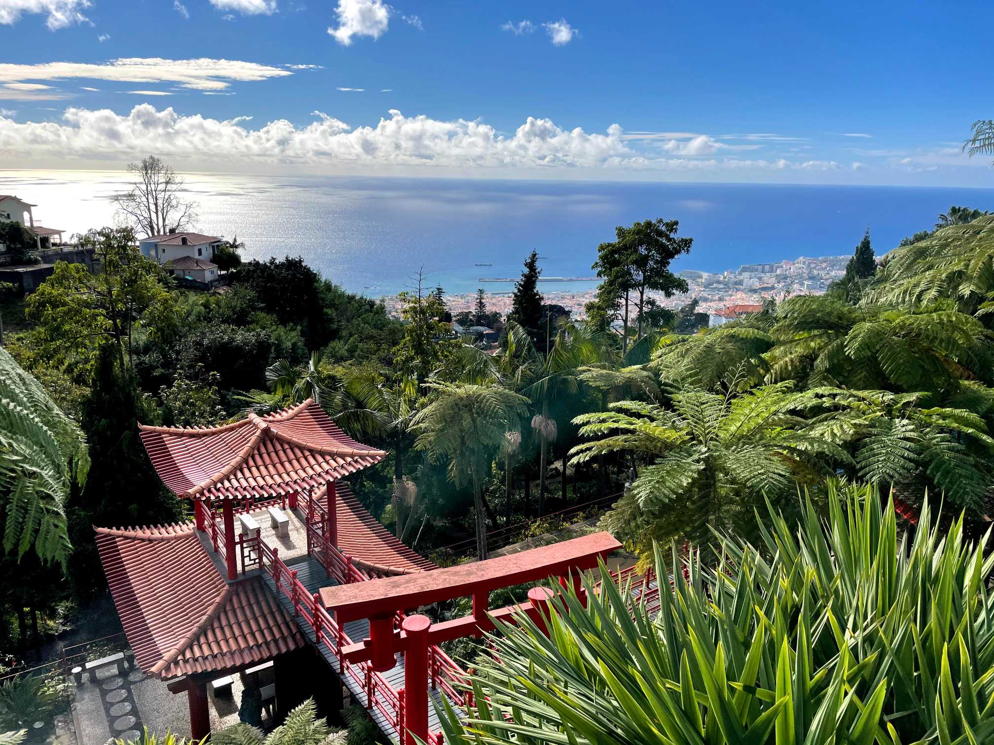 https://www.geekyexplorer.com/madeira-guide/